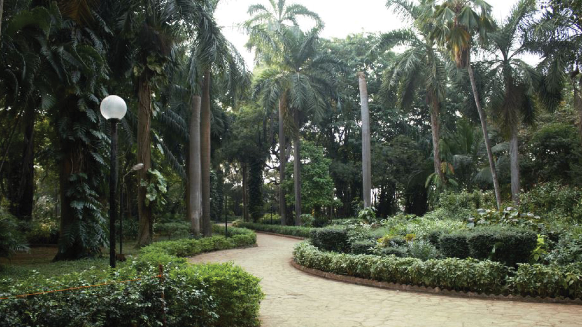 Colaba Woods Mumbai, Maharashtra