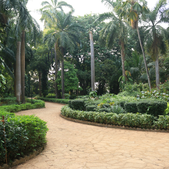 COLABA WOODS & SPORTS COMPLEX